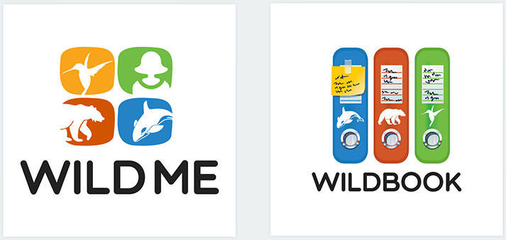 Wild Me Logo